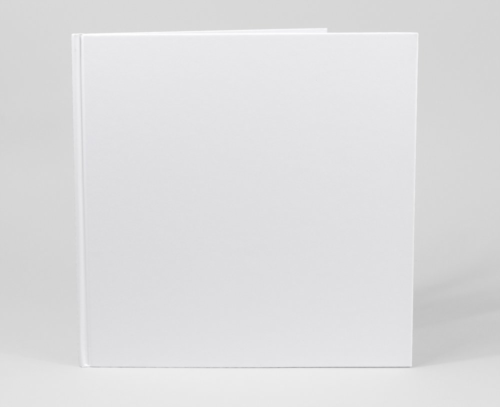 One Big Book An AuthorIllustrator Starter Kit The McSweeney’s Store